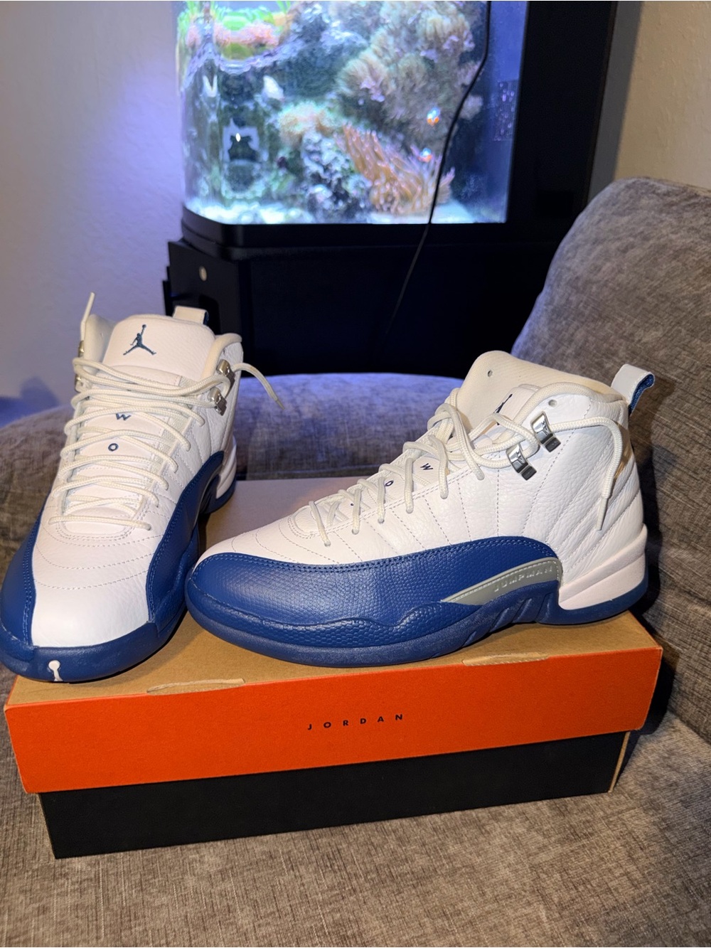 Air Jordan 12 Retro French Blue 2016 Men’s 8.5 OG Box